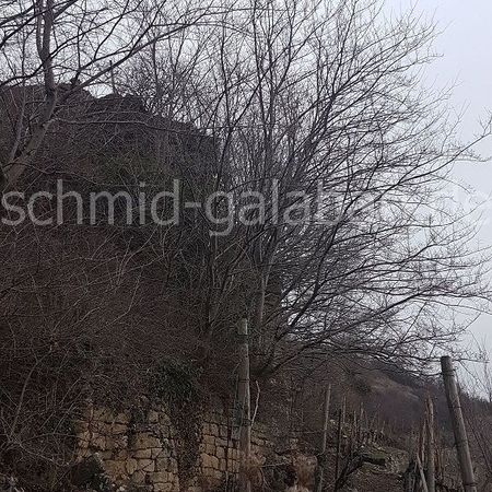 Alter Eichenholzbalken von 1820 (dendrologische Untersuchung) als Fundament der alten Trockenmauer