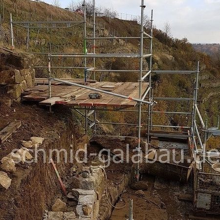 Roden der Gehölze zur Trockenmauersanierung an der Enzschleife bei Roßwag