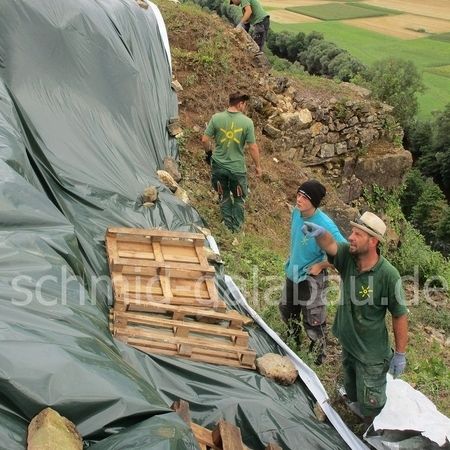 Eidechsen Vergrämung bei Vaihingen/Enz zur Trockenmauersanierung
