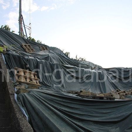 Eidechsen Vergrämung zur Trockenmauer Reparatur in der Roßwager Halde, Kreis Ludwigsburg