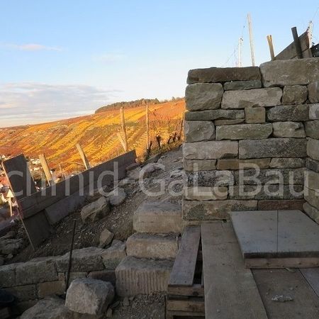 Trockenmauerbau im Projektweinberg im Lembergerland über Roßwag durch die Gärtner der Hans Schmid GmbH