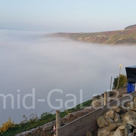 Trockenmauerbau im Projektweinberg im Lembergerland über Roßwag durch die Gärtner der Hans Schmid GmbH