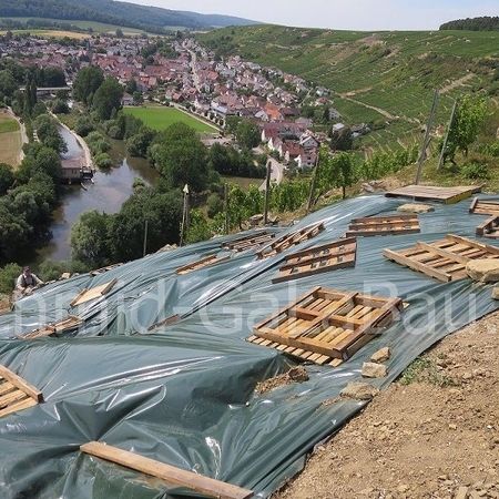 Trockenmauersanierung in der Roßwager Halde, Vergrämung von Tieren