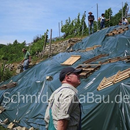 Vergrämung von Tieren vor der Trockenmauersanierung im Herbst