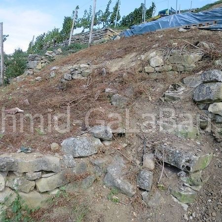 Zu sanierende Trockenmauerreste im 'Projektweinberg' Roßwager Halde