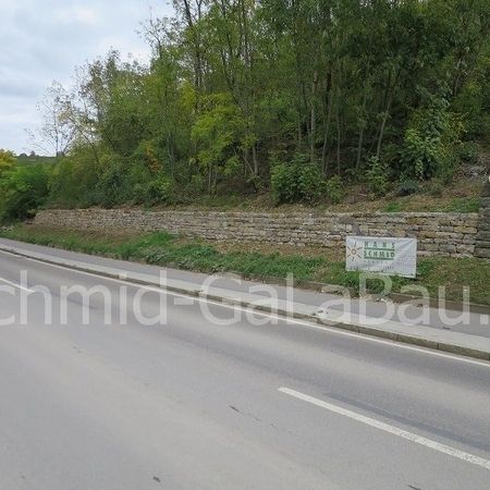 Trockenmauerbau durch die Hans Schmid GmbH