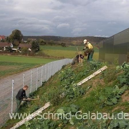 Rund um Pflanzen