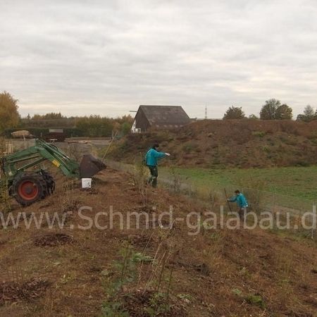 Rund um Pflanzen