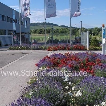 Rund um Pflanzen