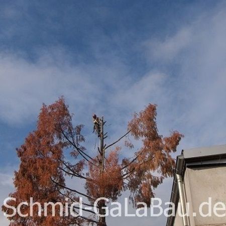 Pflege von Gartenanlagen