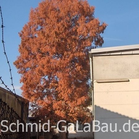 Pflege von Gartenanlagen
