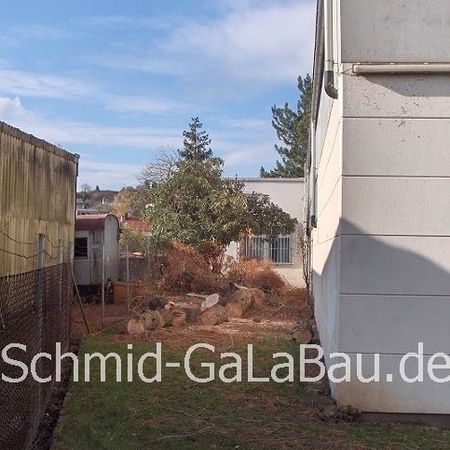 Pflege von Gartenanlagen