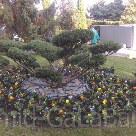 Pflege von Gartenanlagen