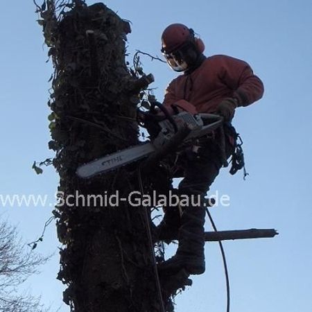 Pflege von Gartenanlagen