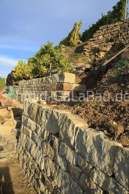 Abbau der alten Trockenmauer im Lembergerland