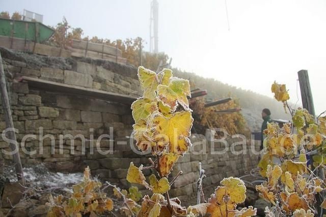 Herbst im Lembergerland mit Blick auf die Trockenmauer